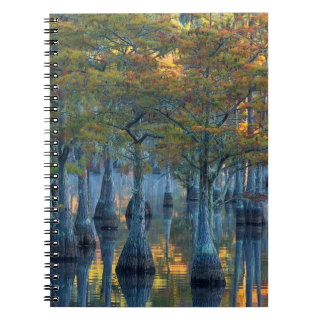 Forest of Pond Cypress Trees Notebook (Front)