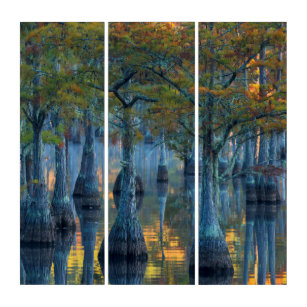 Forest of Pond Cypress Trees Triptych