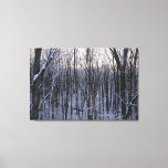 Forest of Snowy Trees Canvas Print