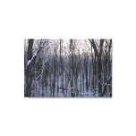 Forest of Snowy Trees Canvas Print