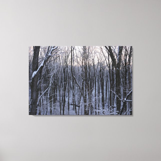 Forest of Snowy Trees Canvas Print (Front)