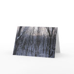 Forest of Snowy Trees Card