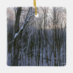 Forest of Snowy Trees Ceramic Ornament