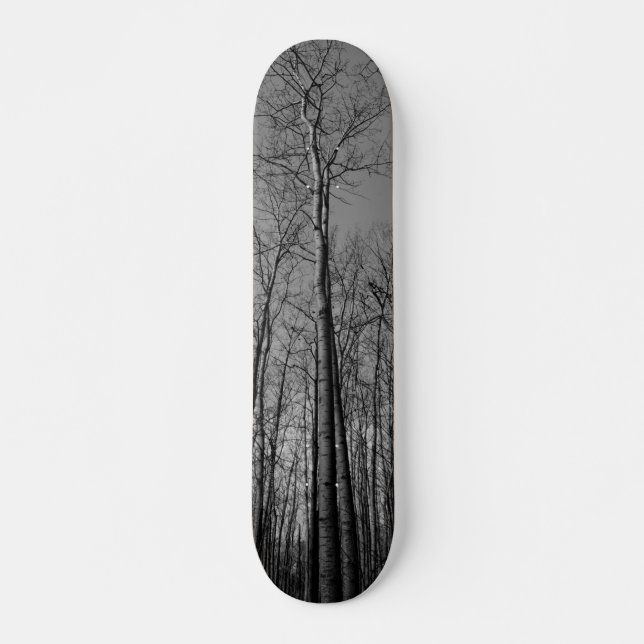 Forest of Trees Skateboard Deck (Front)