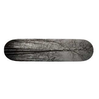 Forest of Trees Skateboard Deck