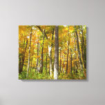 Forest of Yellow Leaves Autumn Landscape Canvas Print