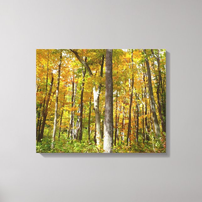 Forest of Yellow Leaves Autumn Landscape Canvas Print (Front)
