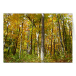 Forest of Yellow Leaves Autumn Landscape Cards