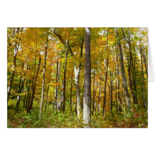 Forest of Yellow Leaves Autumn Landscape Cards