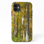 Forest of Yellow Leaves Autumn Landscape iPhone 11 Case