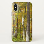 Forest of Yellow Leaves Autumn Landscape iPhone XS Case