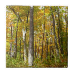 Forest of Yellow Leaves Autumn Landscape Ceramic Tile