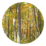 Forest of Yellow Leaves Autumn Landscape Classic Round Sticker