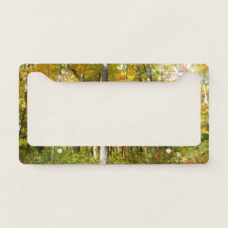 Forest of Yellow Leaves Autumn Landscape License Plate Frame
