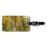 Forest of Yellow Leaves Autumn Landscape Luggage Tag