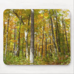 Forest of Yellow Leaves Autumn Landscape Mouse Pad