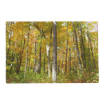 Forest of Yellow Leaves Autumn Landscape Placemat