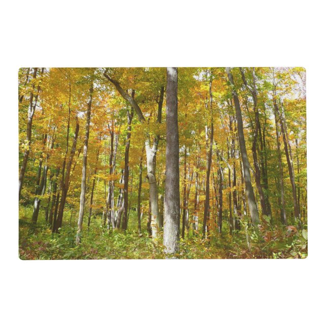 Forest of Yellow Leaves Autumn Landscape Placemat (Front)
