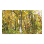 Forest of Yellow Leaves Autumn Landscape Rectangular Sticker