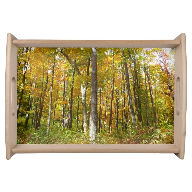 Forest of Yellow Leaves Autumn Landscape Serving Tray (Front)