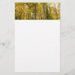 Forest of Yellow Leaves Autumn Landscape Stationery