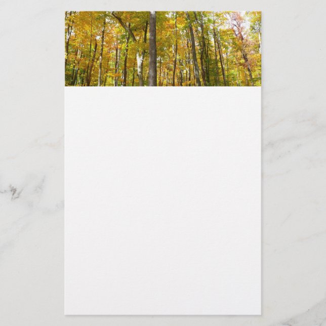 Forest of Yellow Leaves Autumn Landscape Stationery (Front)