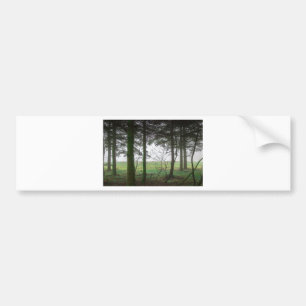 Forest overlooking clearing in the fog bumper sticker