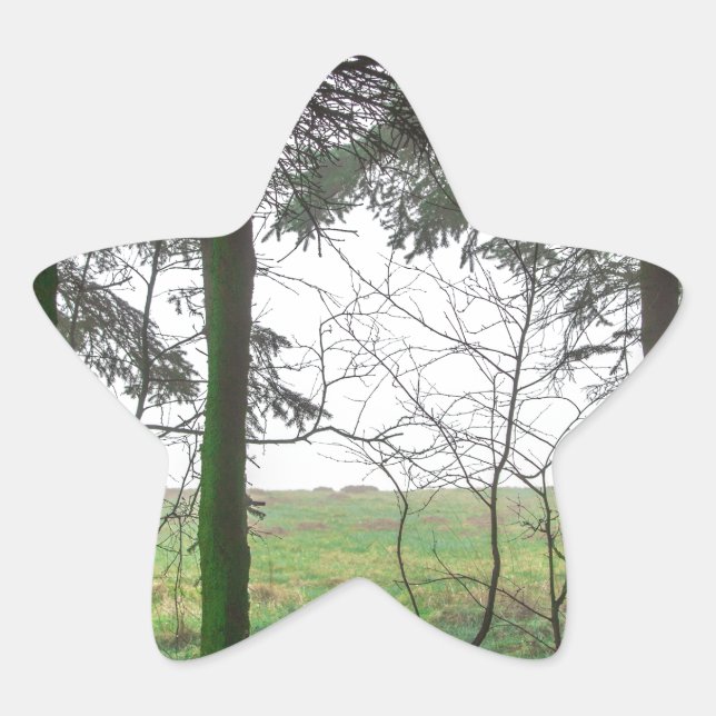 Forest overlooking clearing in the fog star sticker (Front)