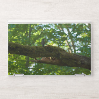 Forest Overpass HP Laptop Skin