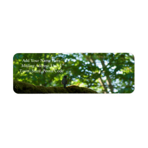 Forest Overpass Label