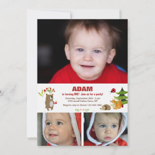 Forest Pals Photo Invitation