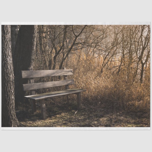 Forest Park Bench Decoupage  Tissue Paper (Front)