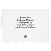 Forest Park St. Louis Missouri Cards (Back Horizontal)