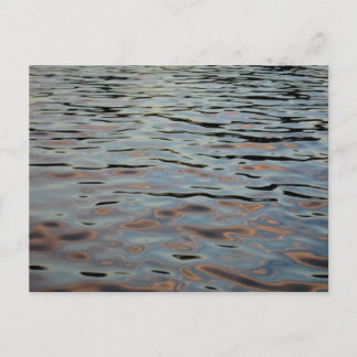 Forest Park Waterways Postcard