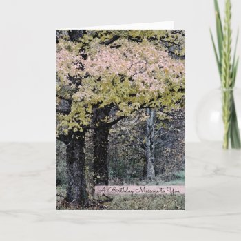 Forest Pastel Birthday Card by camcguire at Zazzle
