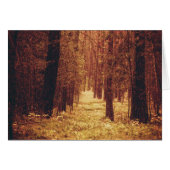 Forest Path... (Front Horizontal)