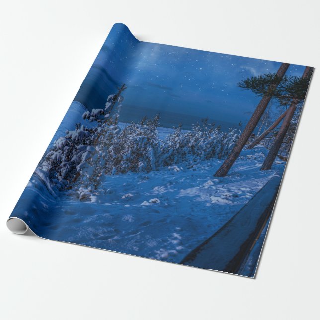 Forest path at winter night wrapping paper (Unrolled)