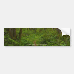 FOREST PATH Bumper Sticker