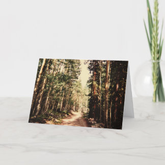 Forest Path Card