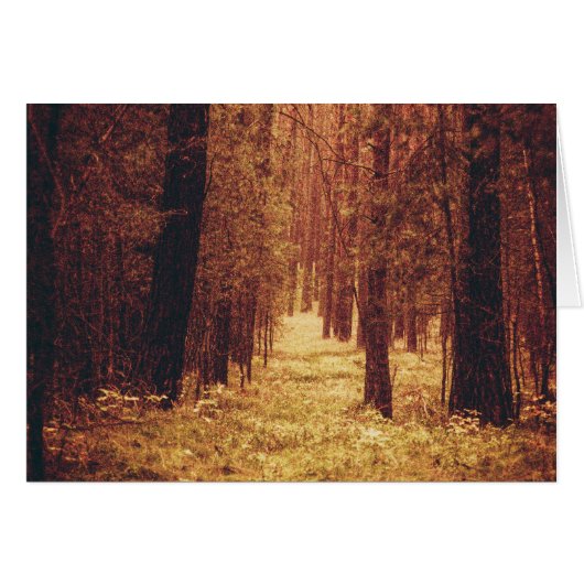Forest Path... Cards (Front Horizontal)