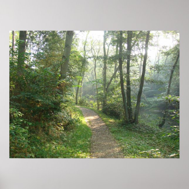 Forest Path in Denmark Poster (Front)