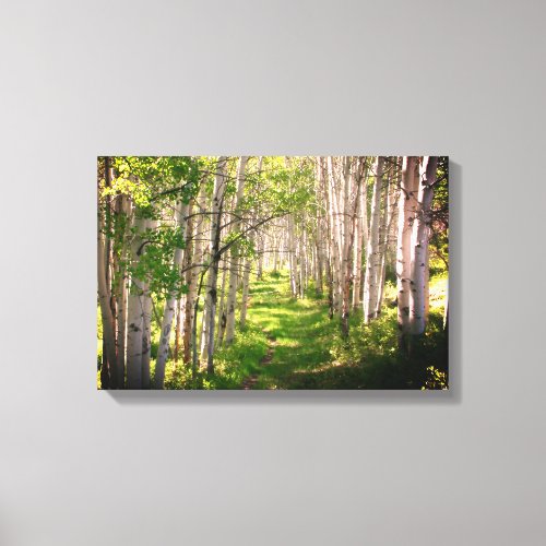 Forest Path in Late Spring Canvas Print