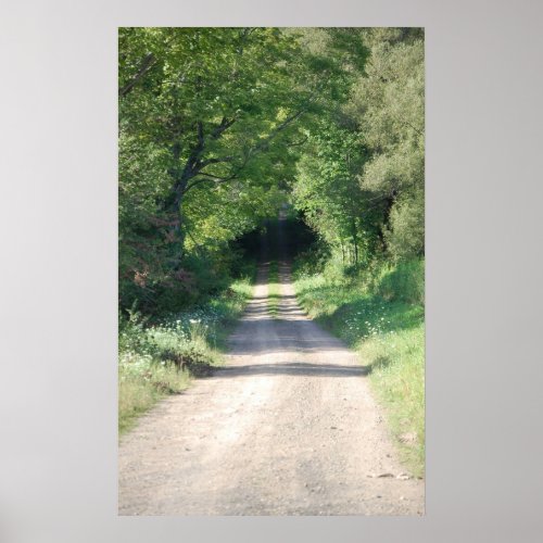 Forest path or dirt road in the country side poster