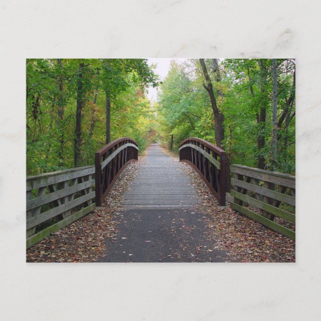 Forest Path Postcard (Front)