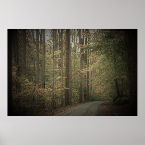 Forest Path Poster