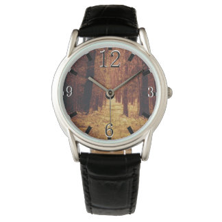 Forest Path ... Watch