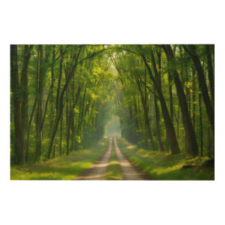 Forest path  wood wall art