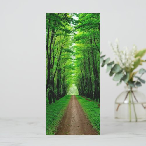 Forest Pathway Card