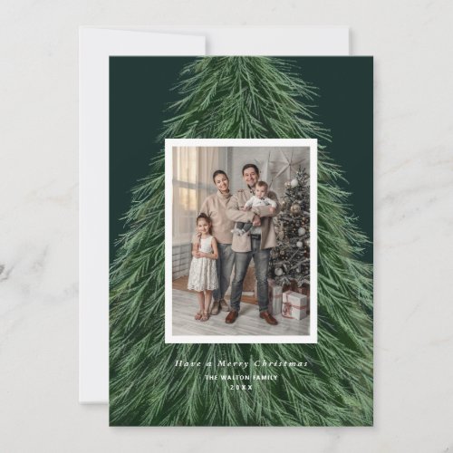 Forest Pine Tree Christmas Holiday Photo