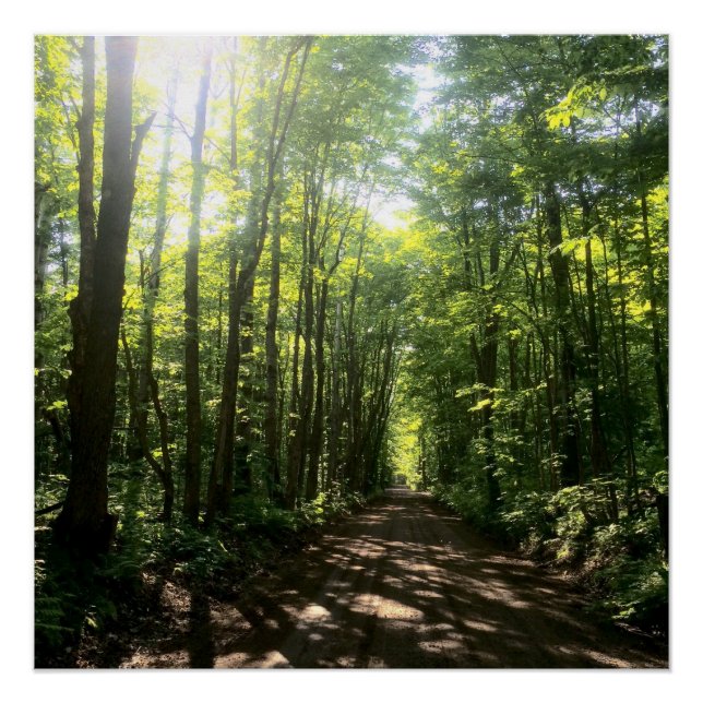 forest poster (Front)